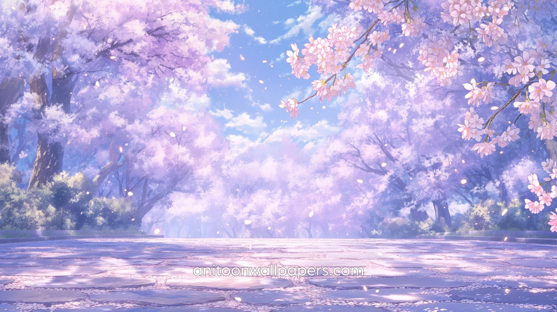 Beautiful Scenery Desktop Wallpaper - Cherry Blossom Path #23