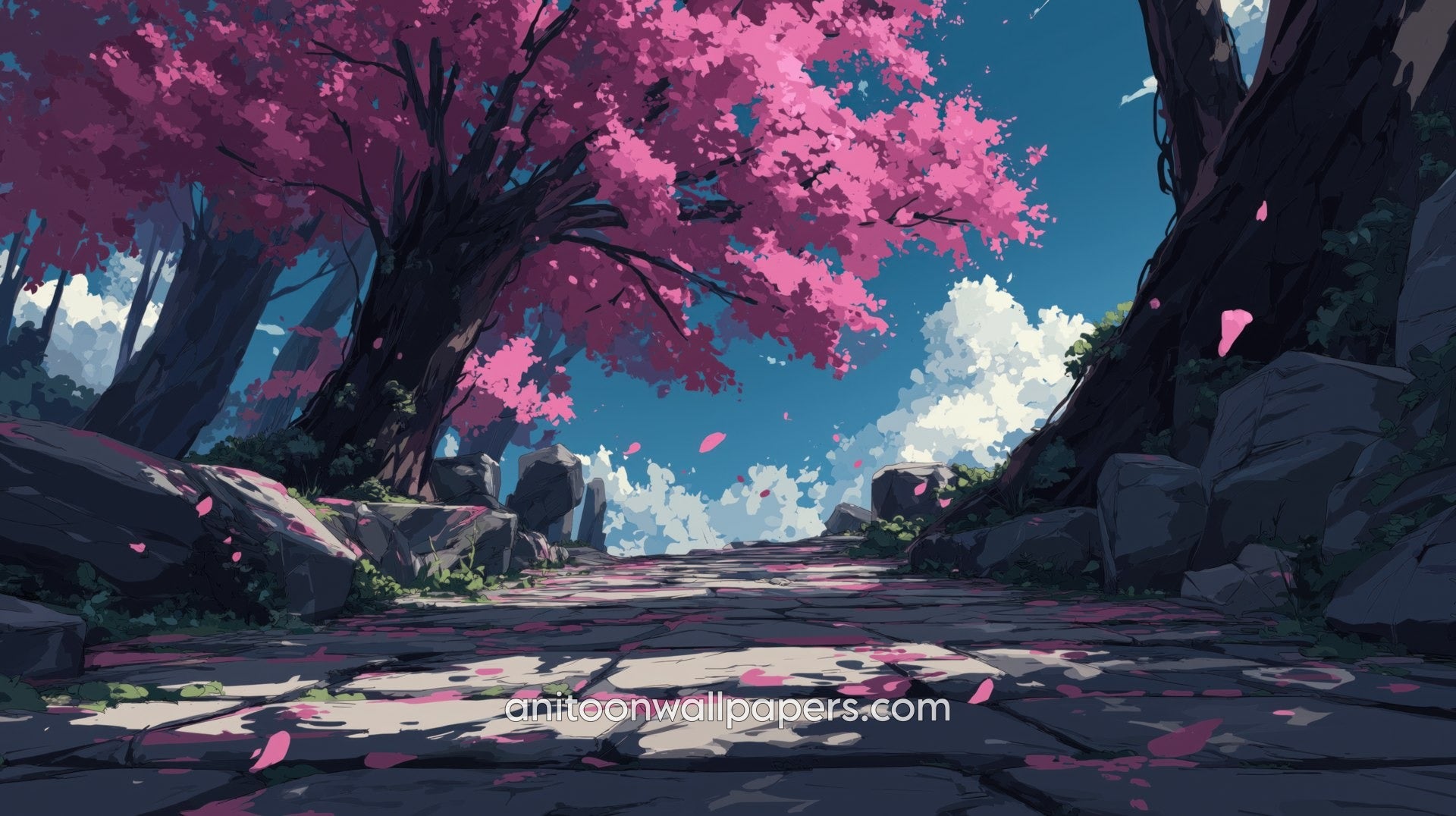 Beautiful Scenery Desktop Wallpaper - Cherry Blossom Path #26