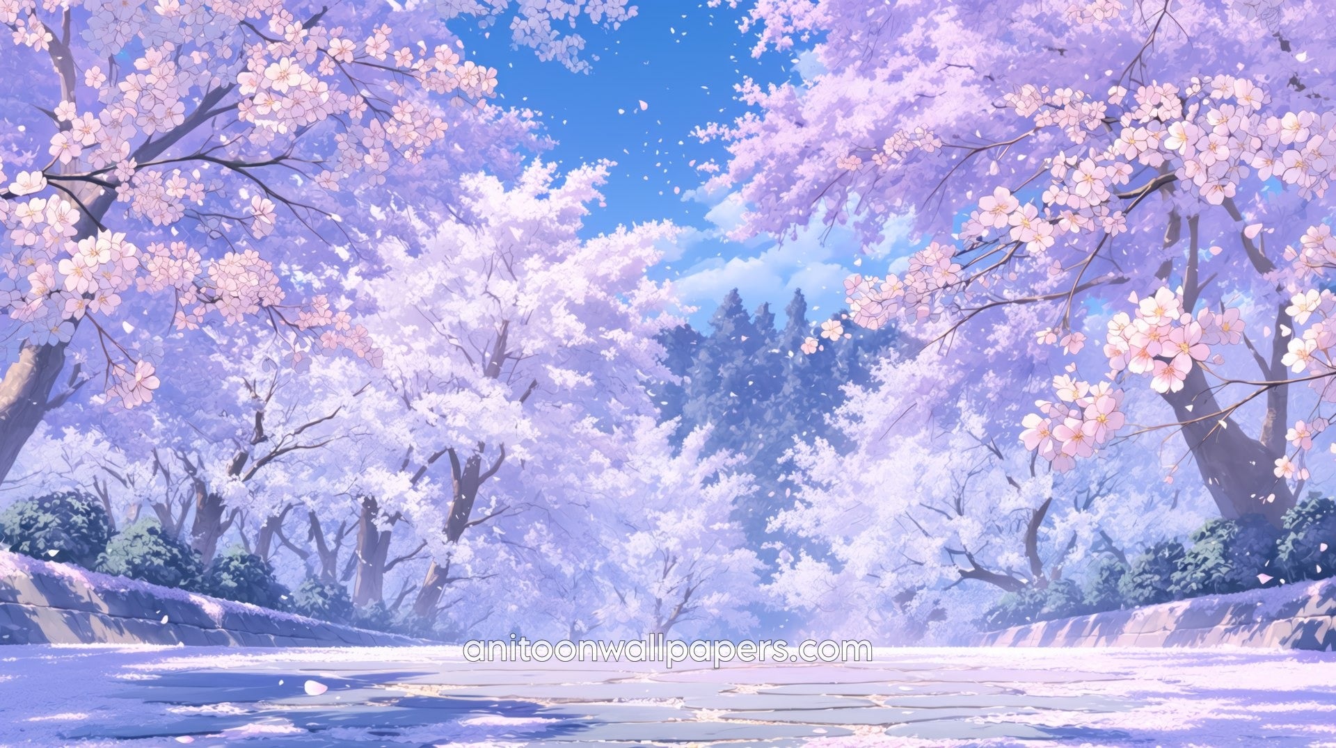 Beautiful Scenery Desktop Wallpaper - Cherry Blossom Rocky Path #30