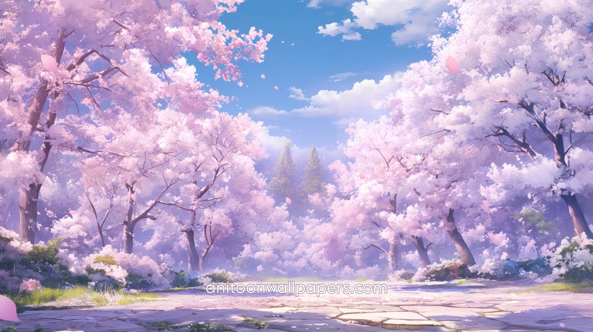 Beautiful Scenery Desktop Wallpaper - Cherry Blossom Canyon Path #31