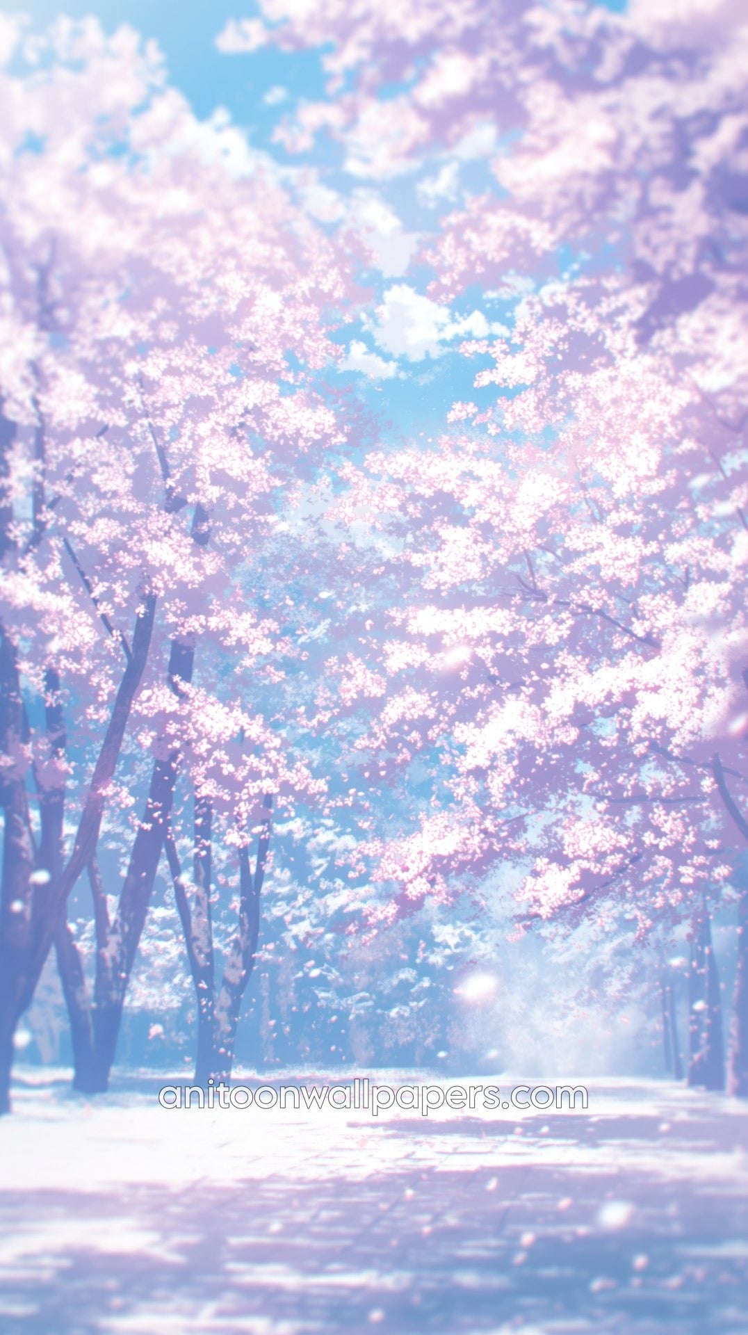 Anime Cherry Blossom Avenue Phone Wallpaper - Sunlit Glow & Soft Pink Trees #34