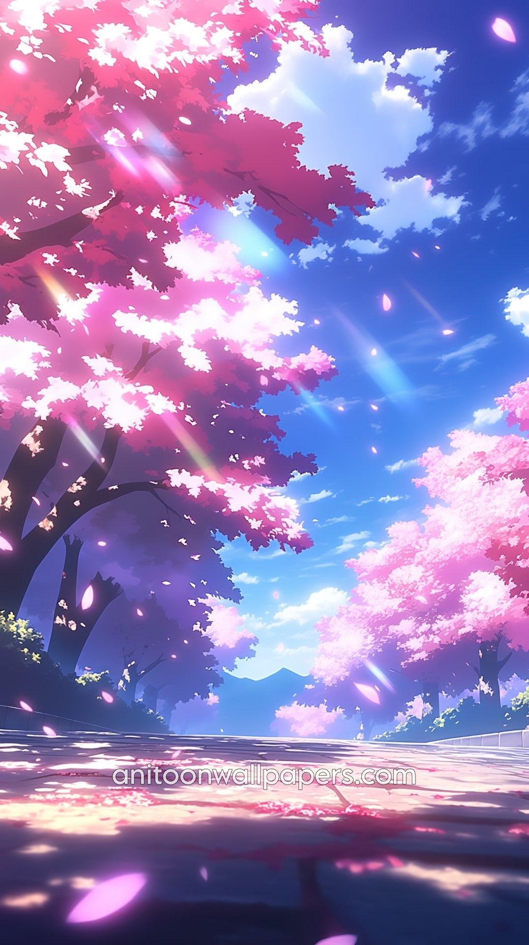 Anime Cherry Blossom Phone Wallpaper - Low Angle Lens Flare & Deep Blue Sky #38
